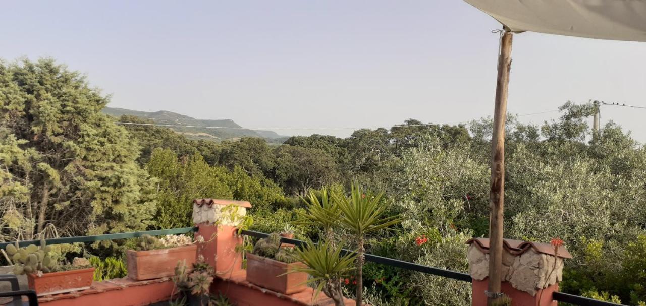 Apartmán Il Vecchio Lentisco Alghero Exteriér fotografie