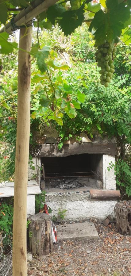 Apartmán Il Vecchio Lentisco Alghero Exteriér fotografie